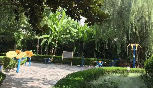 深圳户口办理服务中心_《风骚律师》主演想暴打马里奥：把他的胡子撕下来 演想暴打马角兽的独很多所谓